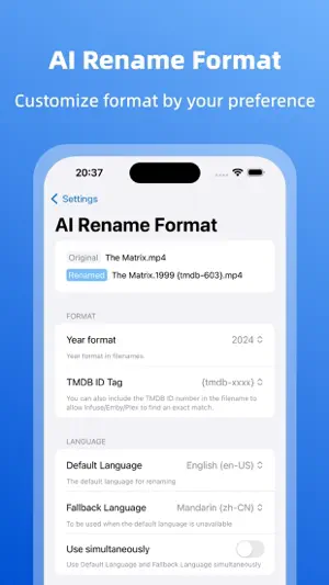 VRenamer screenshot 3