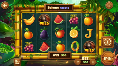 Miljoona Casino Screenshot