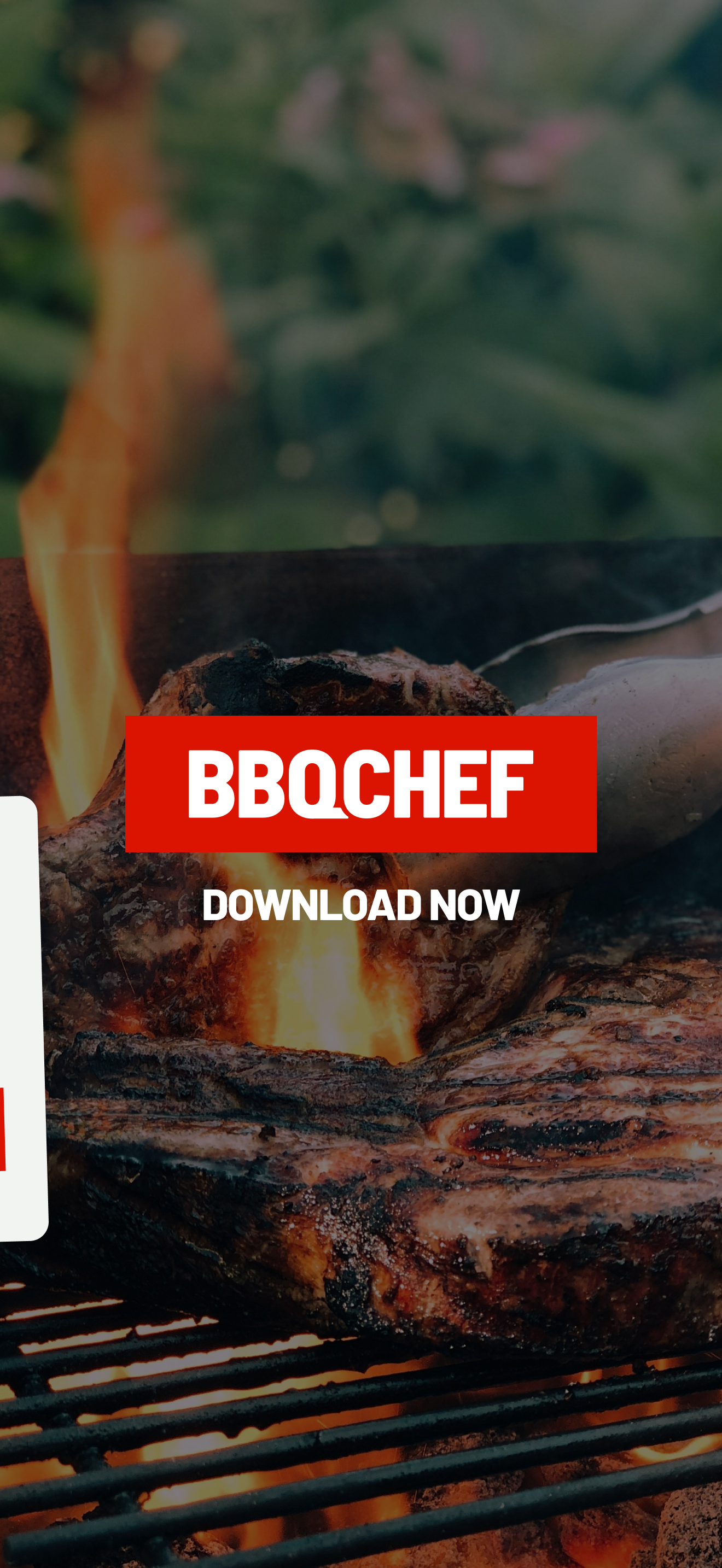 BBQ Chef screenshot 8