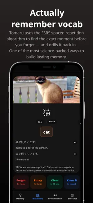 Tomaru - Spaced Repetition screenshot 1