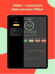 sibber - more tibber alarms ipad images 3