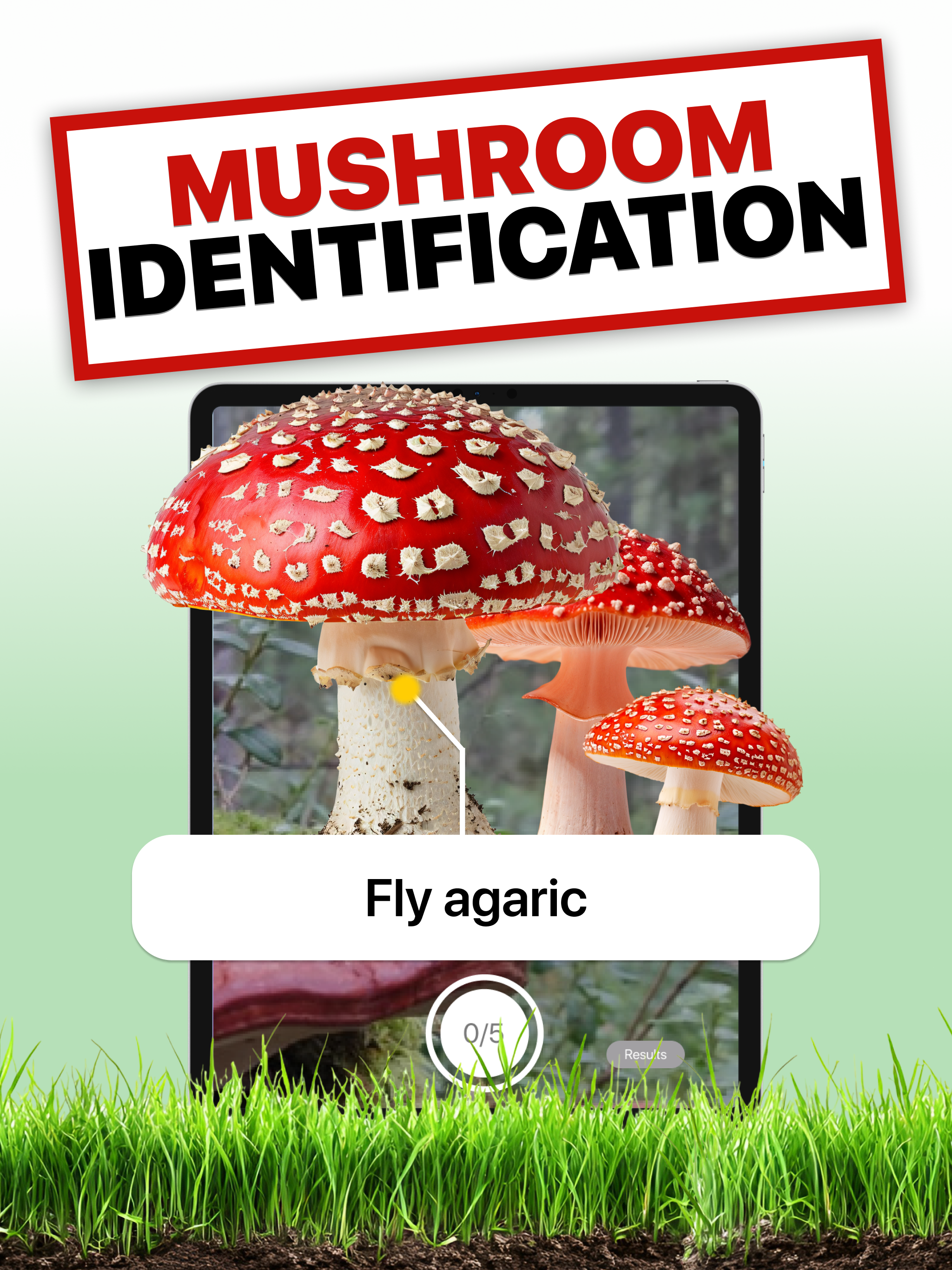 Mushroom Identifier - ID Fungi screenshot 5