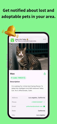 Paty – Lost & Adoption Screenshot 2 of 5
