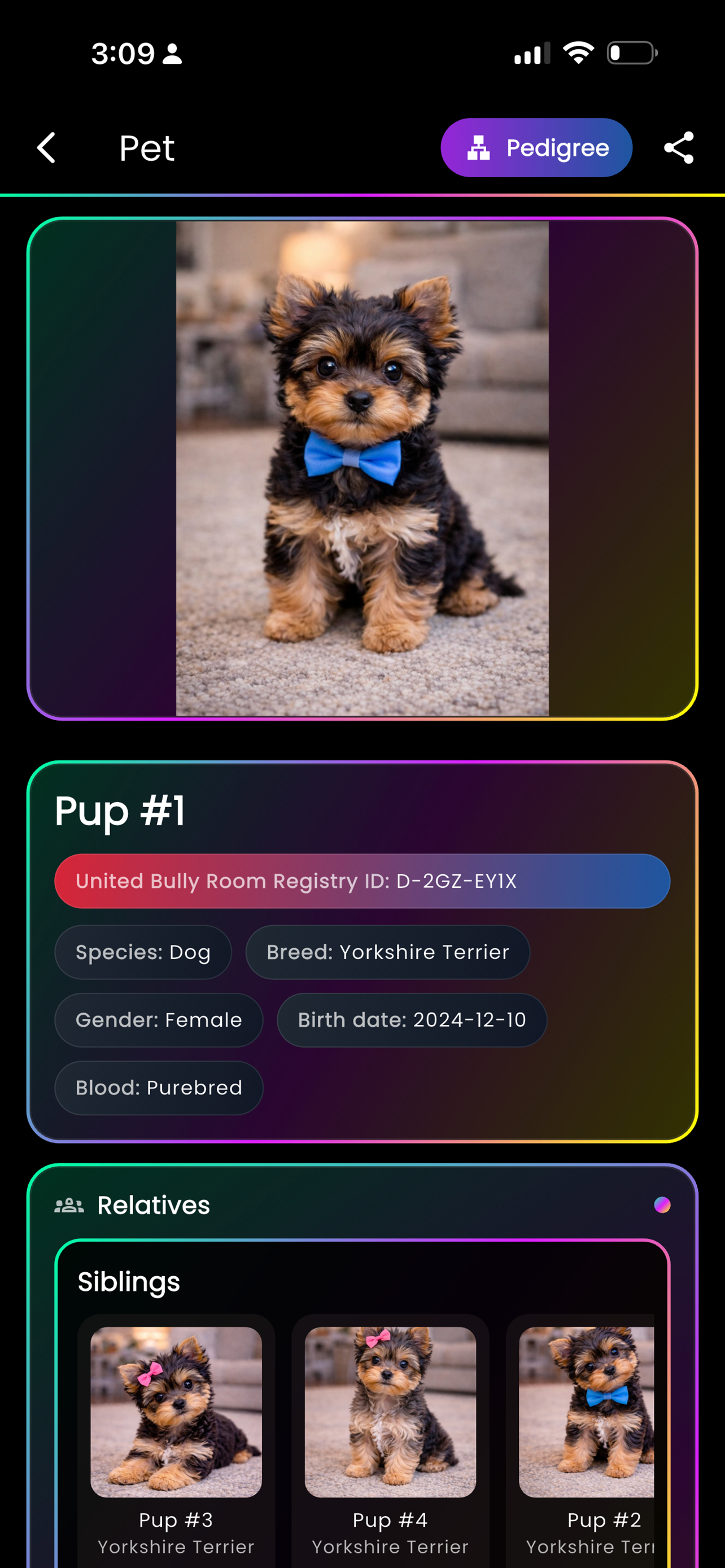 Bully Room