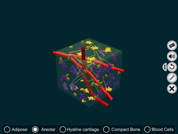 Connective Tissues-EduTech Era iPad screenshot