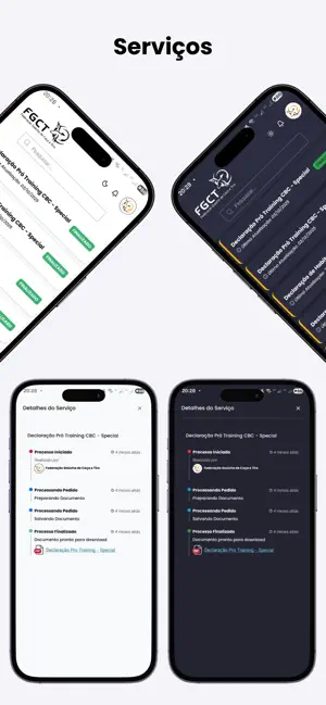 Portal FGCT screenshot 4