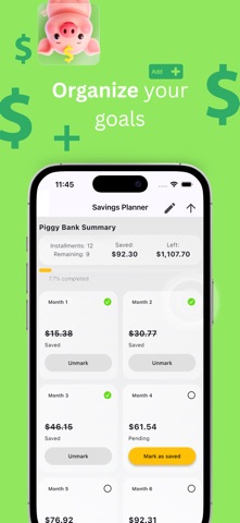 Piggy Banks Plan iPhone screenshot