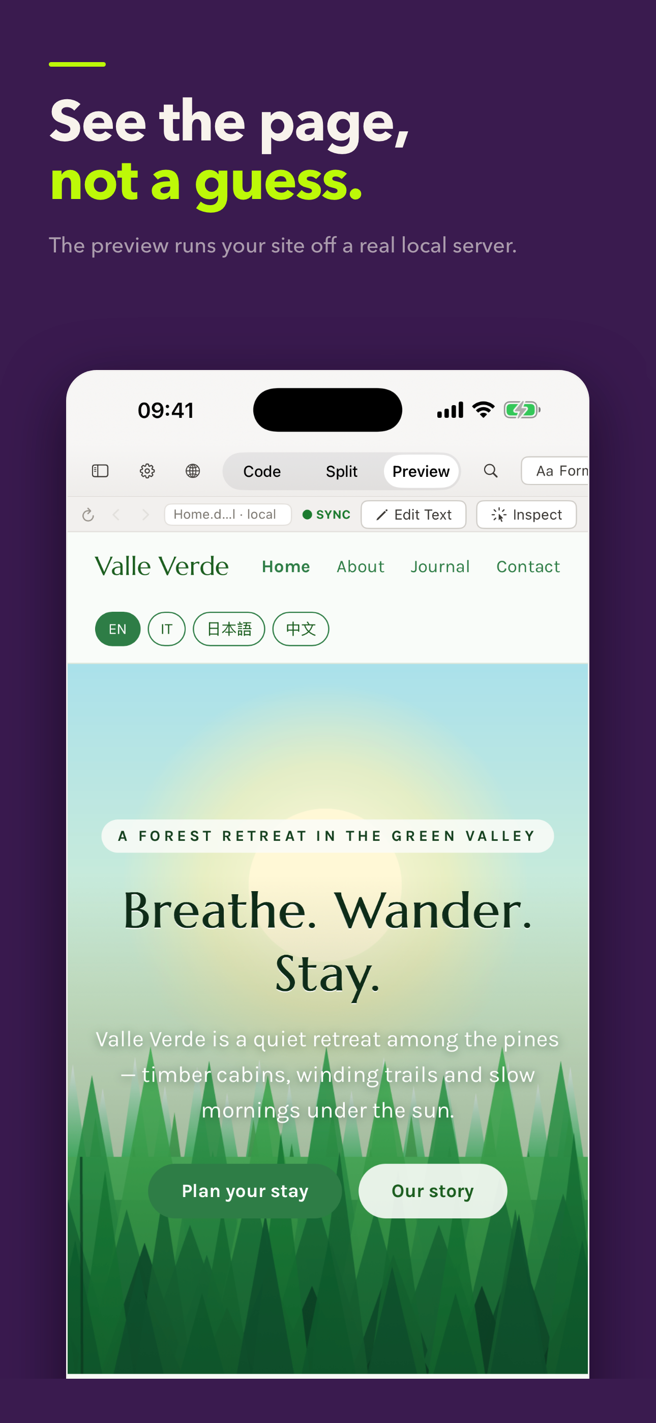 html+css+js+node+programming screenshot 3