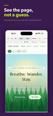 html+css+js+node+programming screenshot 3