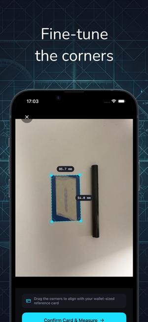 VisualRuler: Measure Anything Screenshot