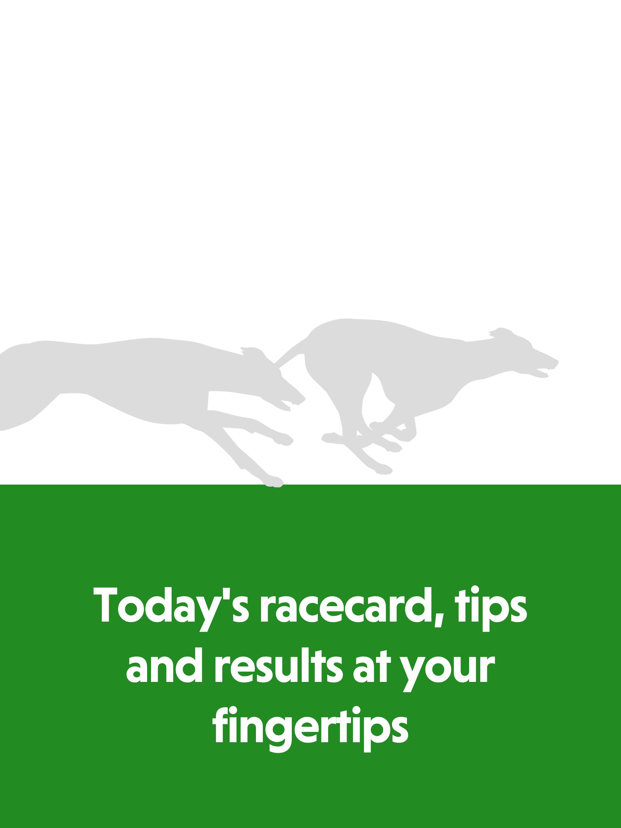 Greyhound Guide - Dog Racing
