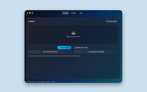 StegInsight screenshot 12