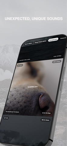 Sleep Sounds by Wonderland screenshot