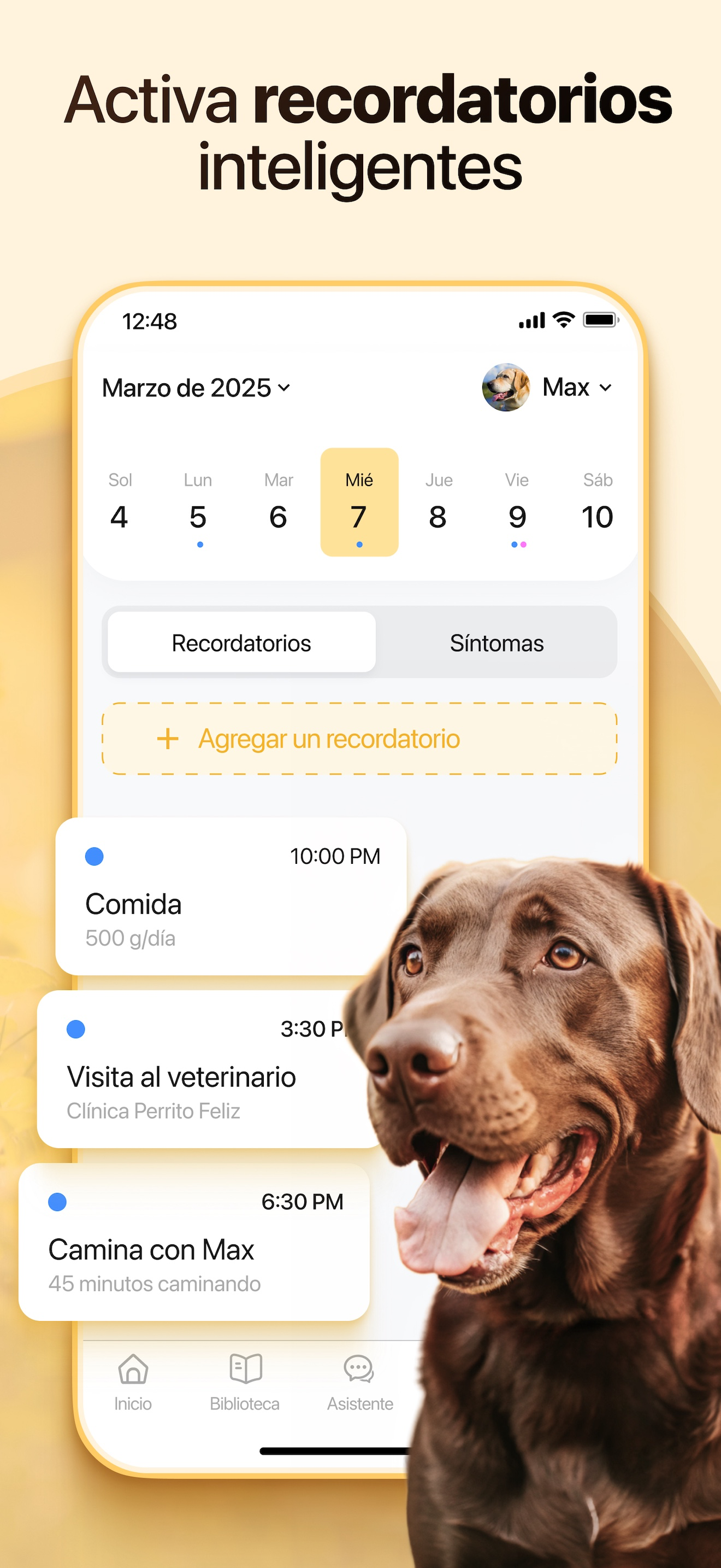 Dosty: Cuidado de Perros Gatos