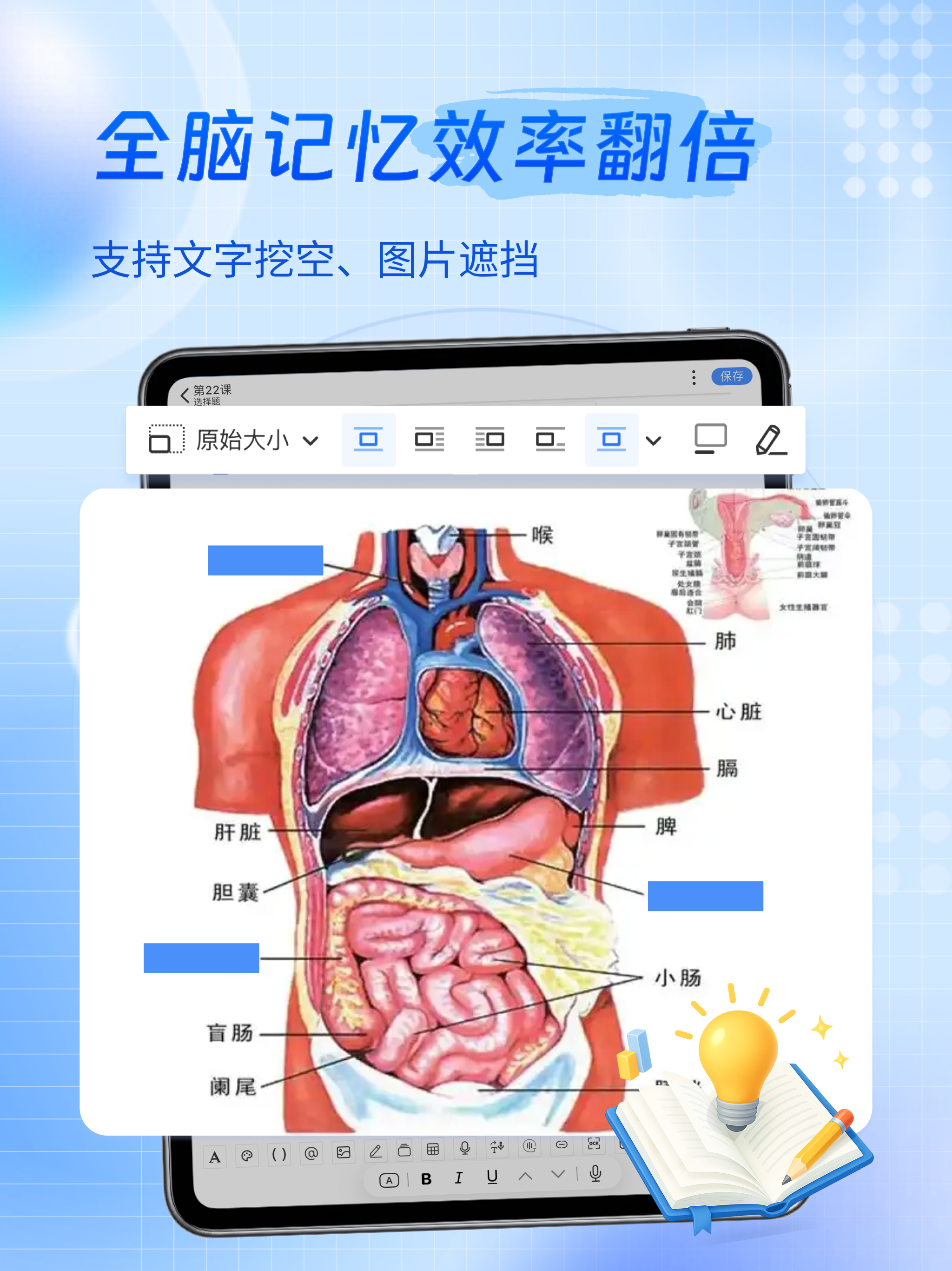 咔咔记-Anki算法记忆、速记闪卡、考研背书、闪卡背单词