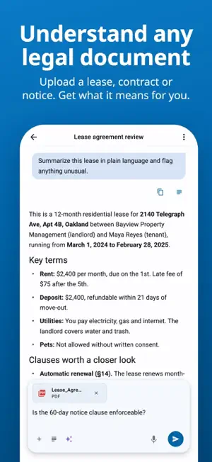 Lawyer Assistant: AI Reads Law screenshot 3