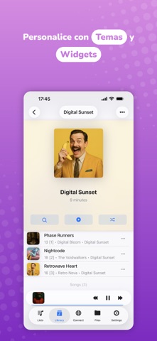 Evermusic: reproductor offline screenshot 10