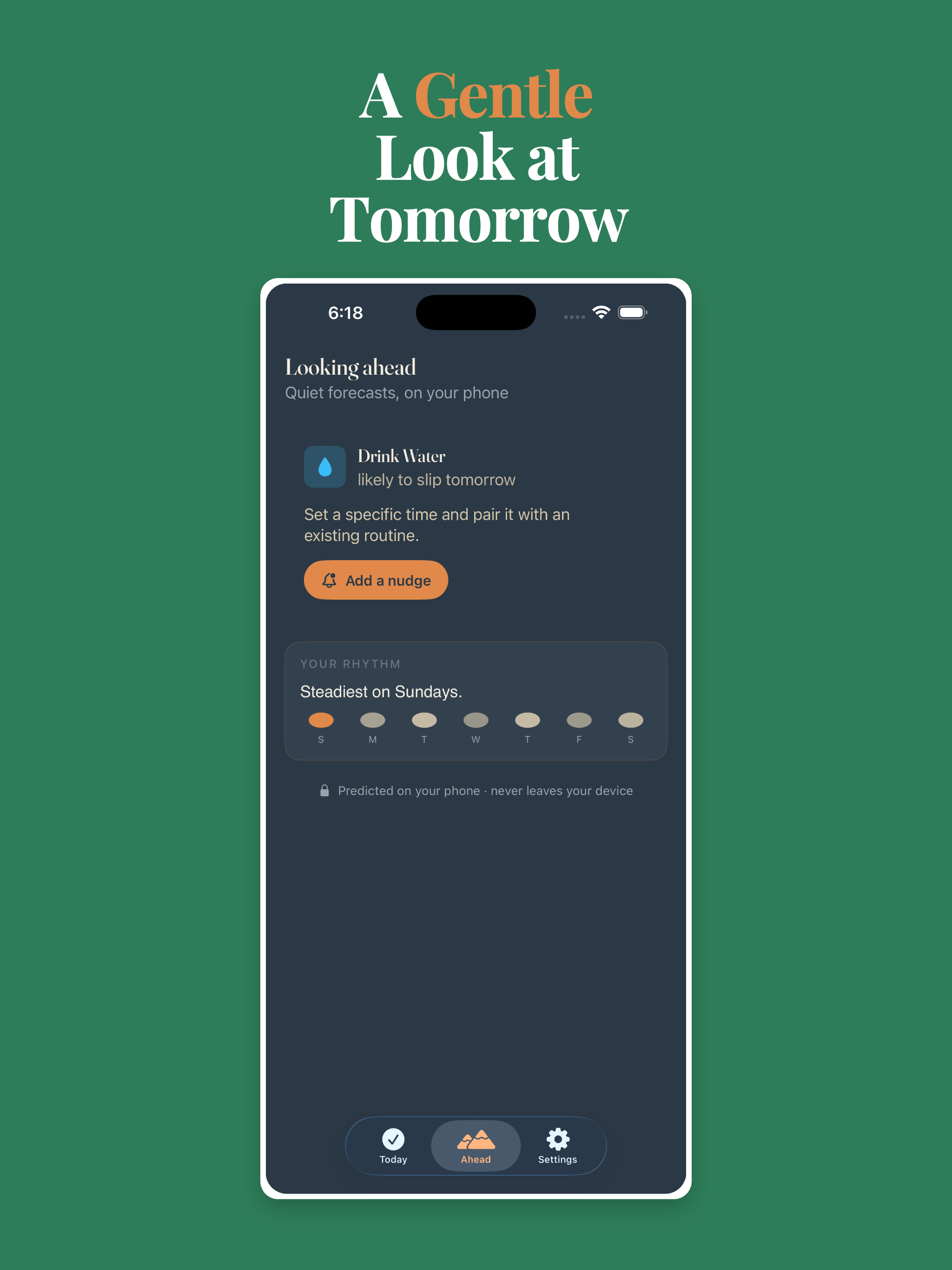 Loam — Calm Habit Tracker screenshot 6