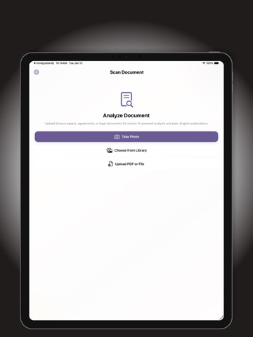 Divorce IQ: Planning AI Guide iPad screenshot