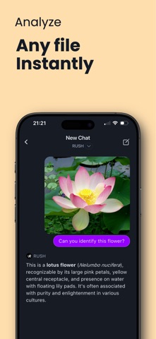 AI Chatbot - Rush Screenshot 4 of 6