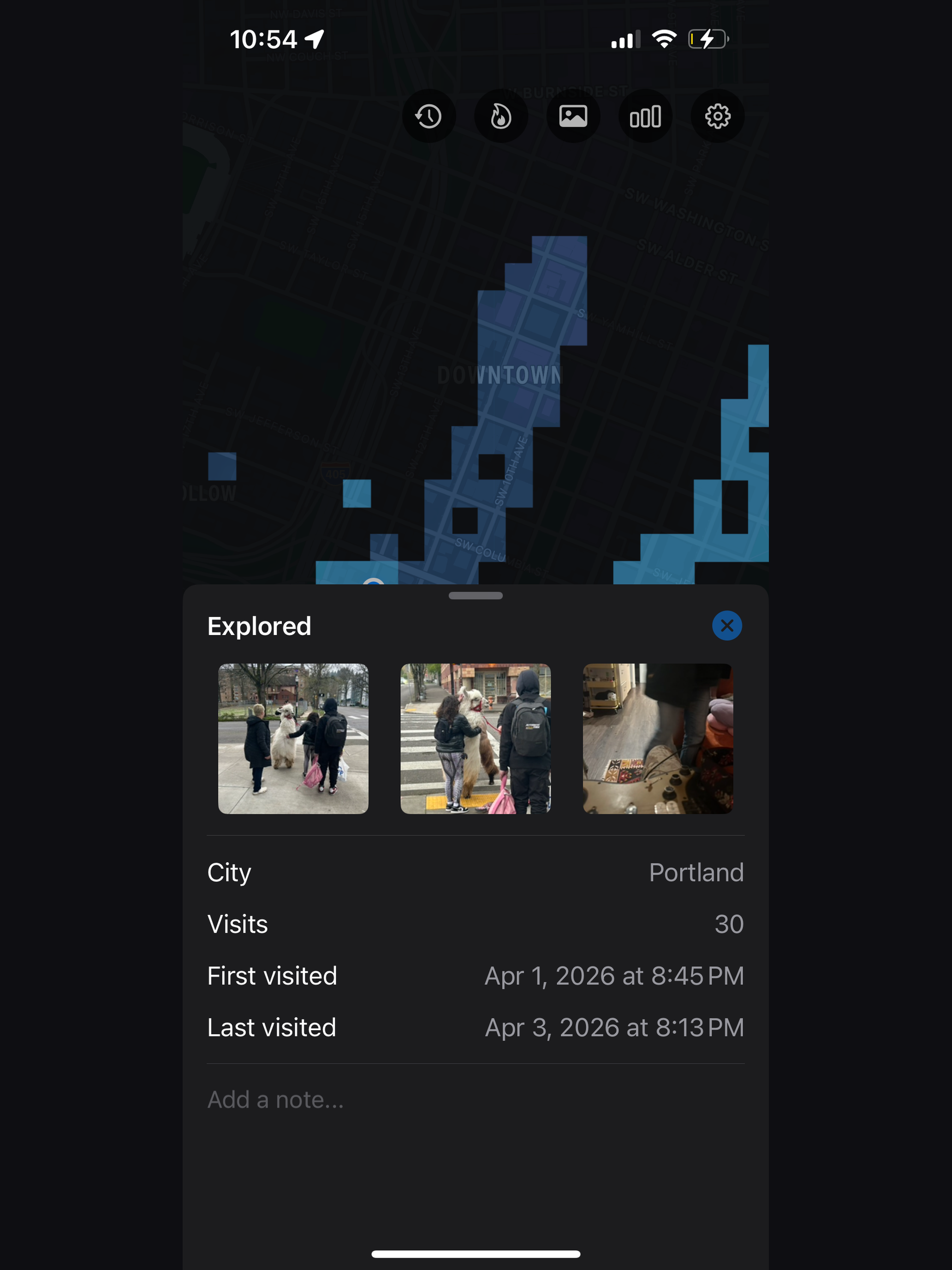 Stray: Life Cartography
