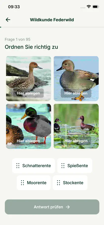Screenshot 4 von 6 zu Leitbruch