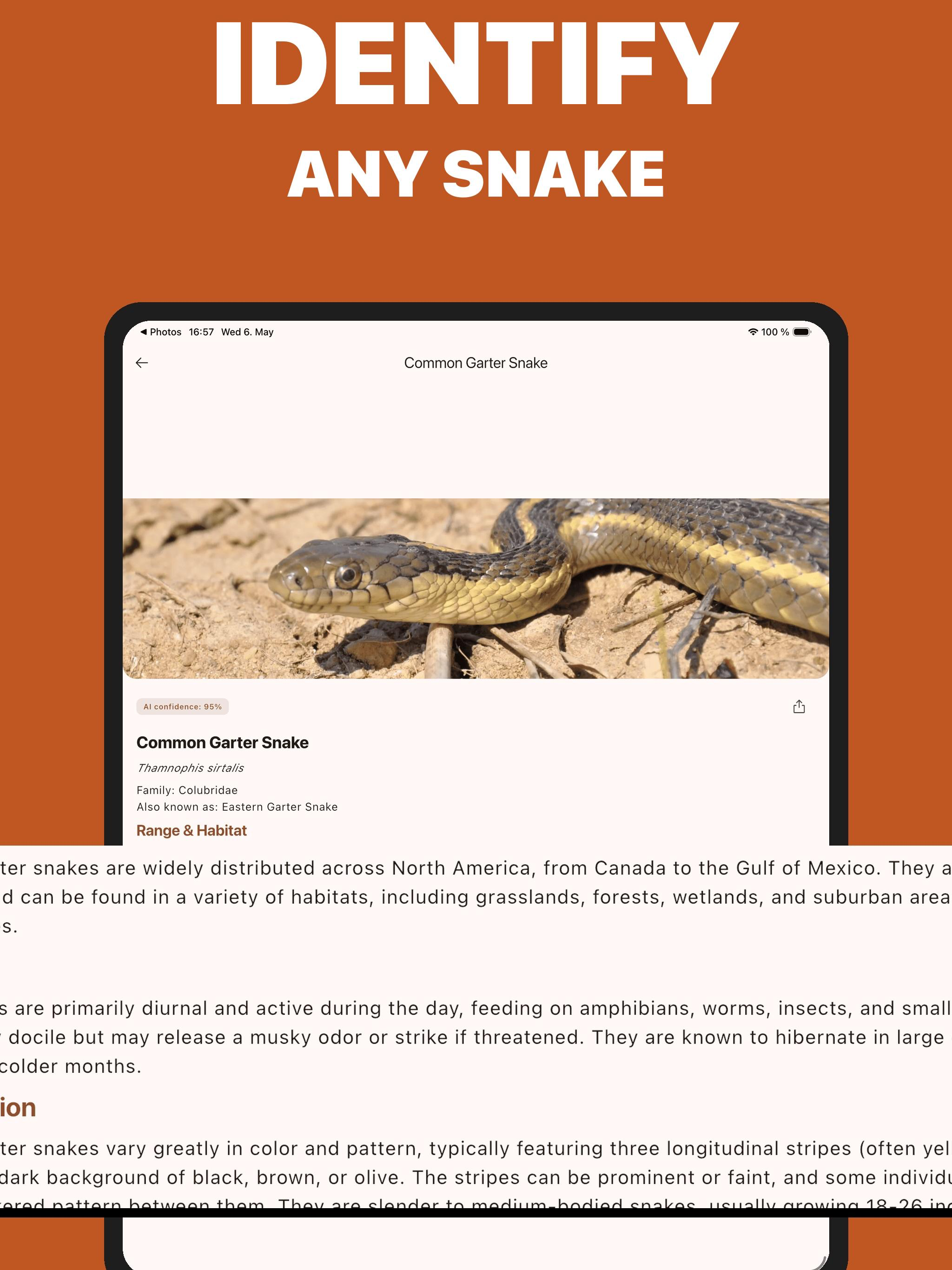 Snake Identifier AI - SnakeZ