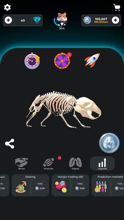 Hamster Clicker - Crypto Games screenshot-3