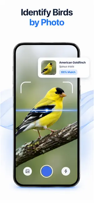 Birdly: Bird Identifier screenshot 3