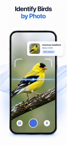 Birdly: Bird Identifier Screenshot 3 of 5