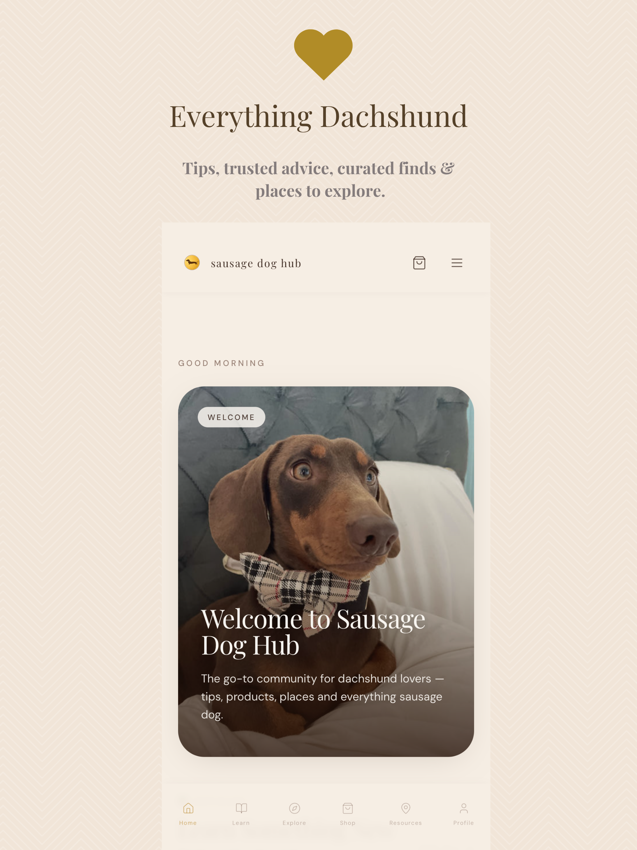 Sausage Dog Hub screenshot 7