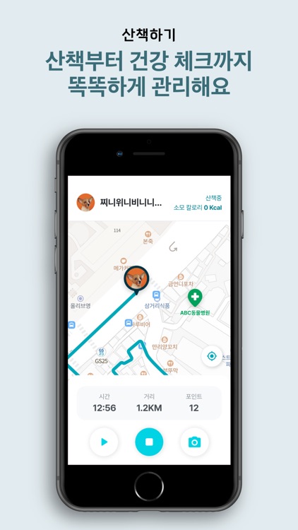 두잇펫 - Do it Pet