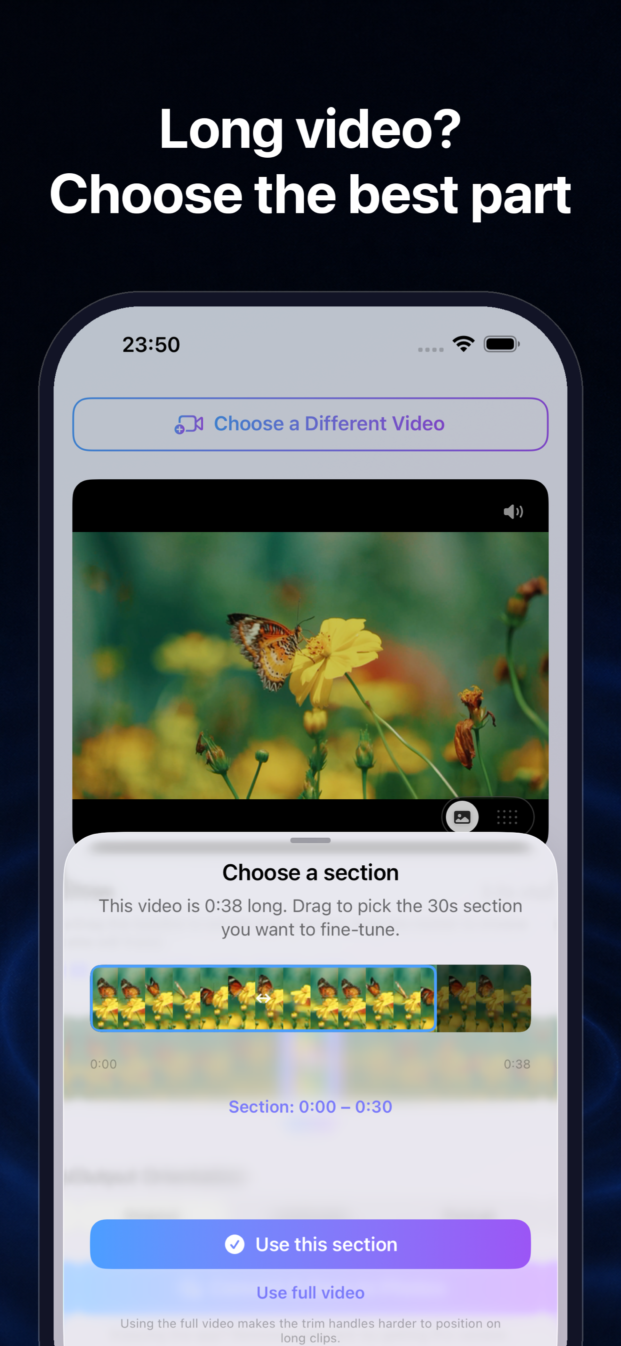 LiveMaker: Video to Photo screenshot 2