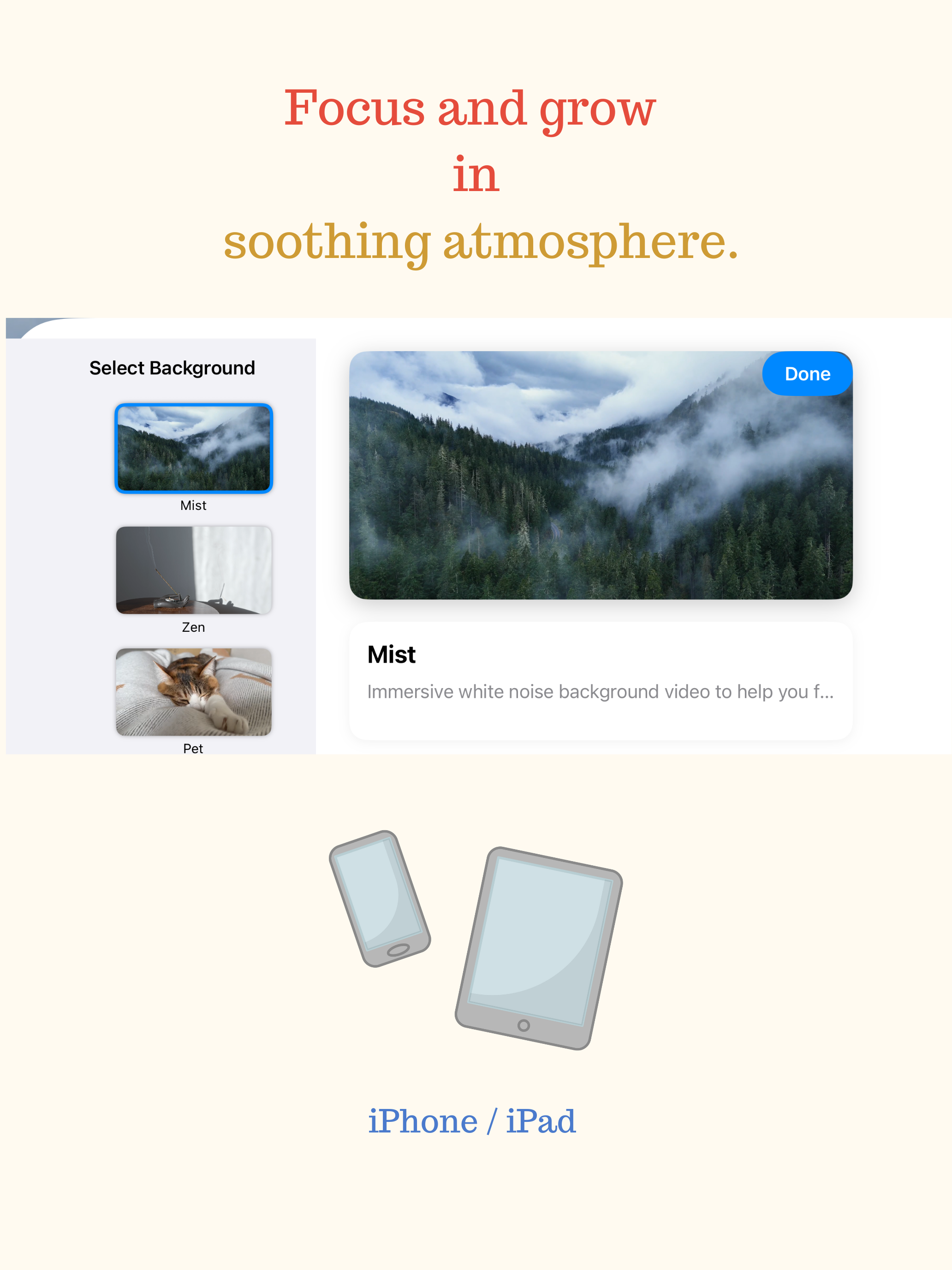 SpongeHome - Reading&Learning