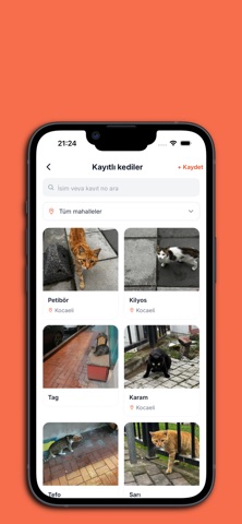 StrayPaw: Street Animals iPhone screenshot 4