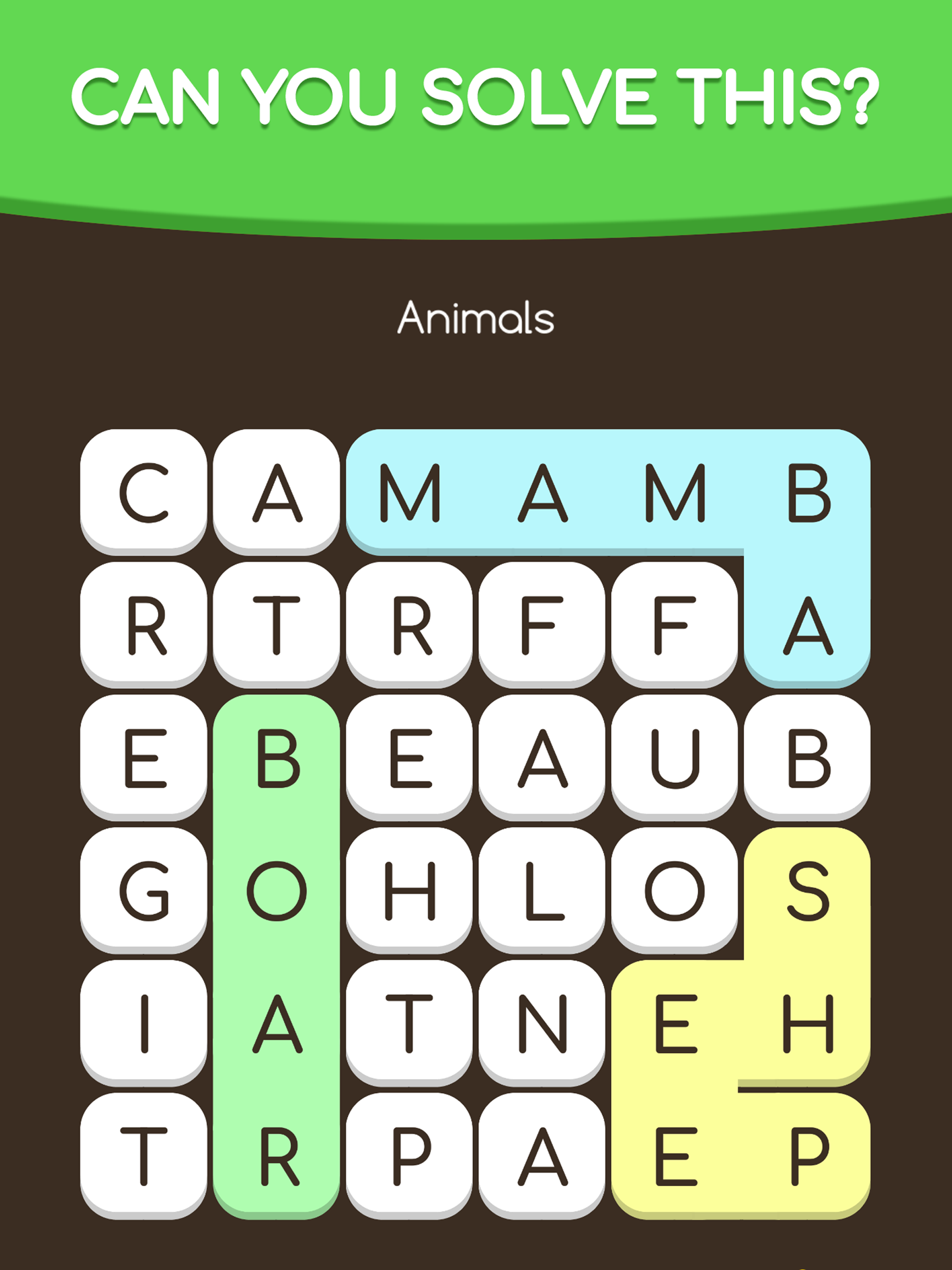 Find the Words - Word Puzzle