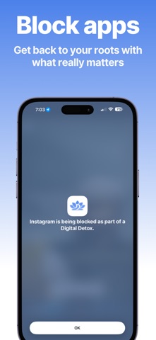 Digital Detox ADHD AppBlocker iPhone screenshot