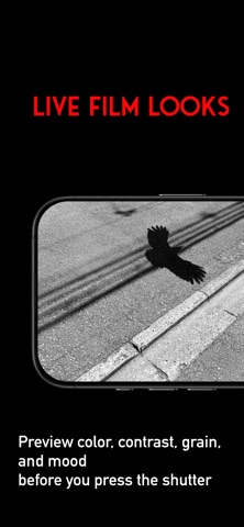 Motif: Cinematic Camera Screenshot 2 of 3