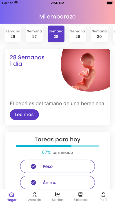 Delfina: Pregnancy Tracker