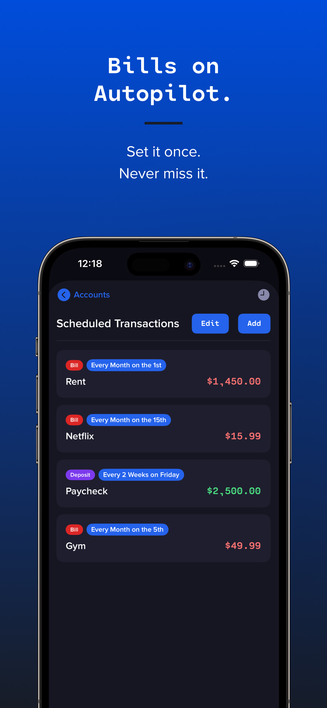 Basic Checkbook: Spending Log screenshot 4