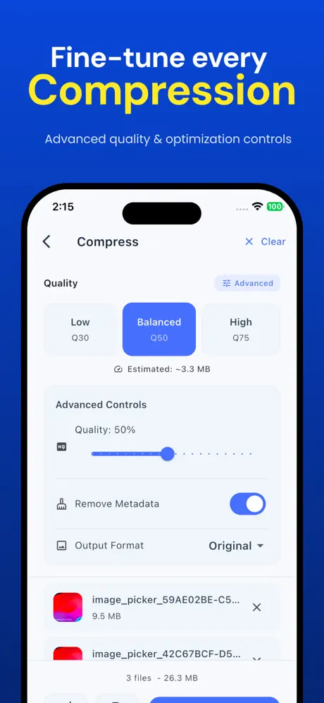 LaynFlow screenshot 3