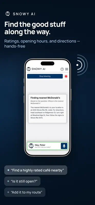 Snowy: AI Assistant for Tesla screenshot 4 of 6