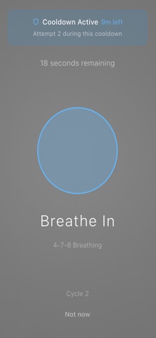 fflow Screenshot 6 of 10