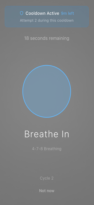 fflow Screenshot 6 of 10
