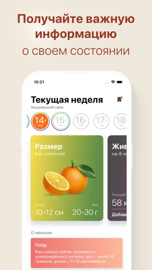 Скриншот Календарь беременности + роды на iPhone 2