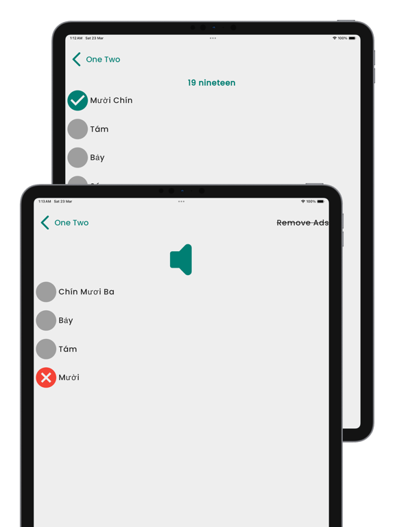 Learn Vietnamese Language! iPad screenshot 4 - Education app