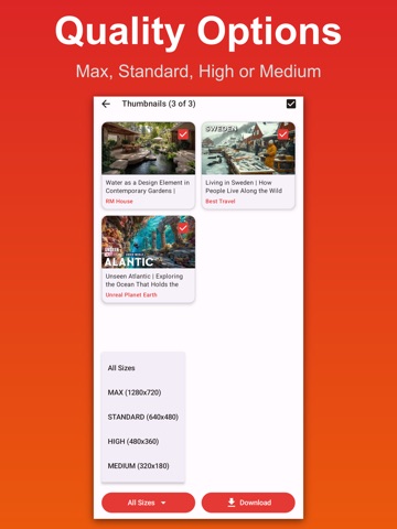 YT Thumbnail Downloader iPad screenshot