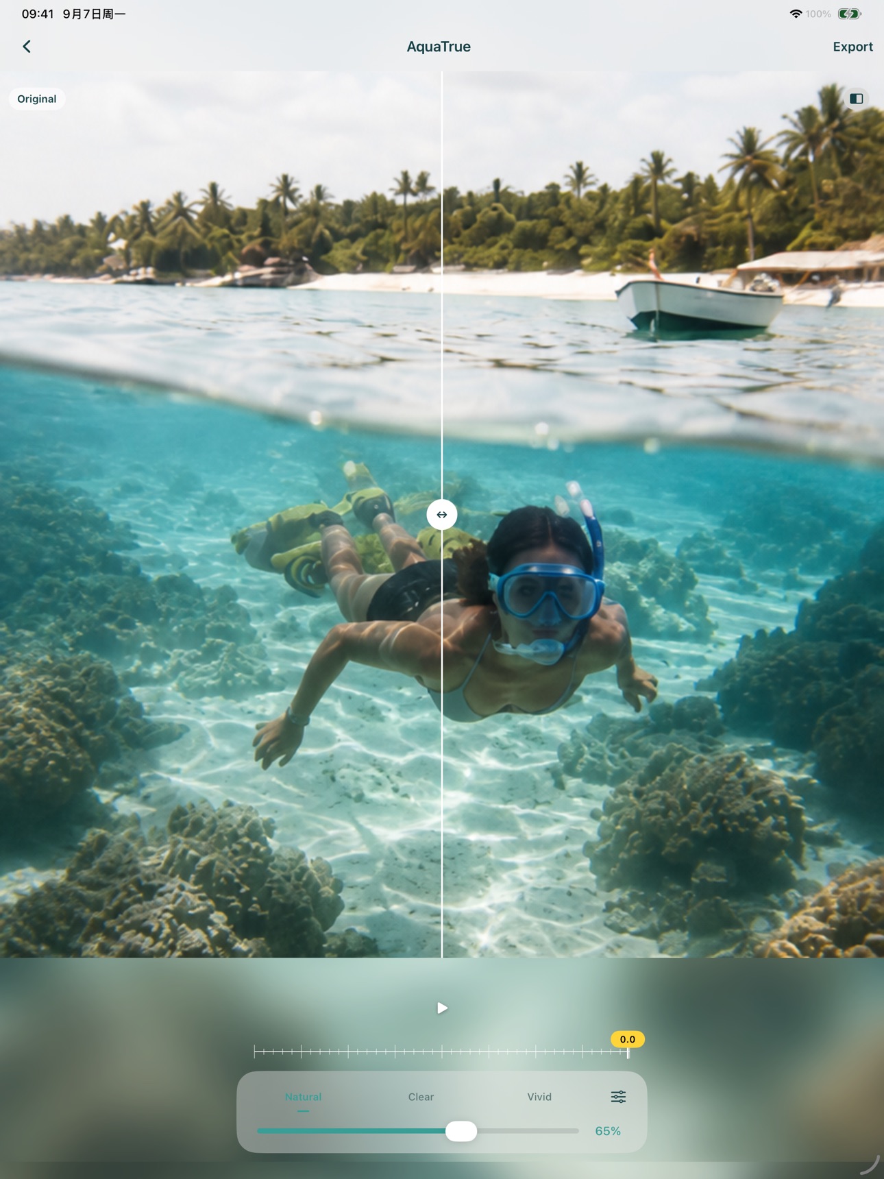 Screenshot 3 of AquaTrue: Underwater Color