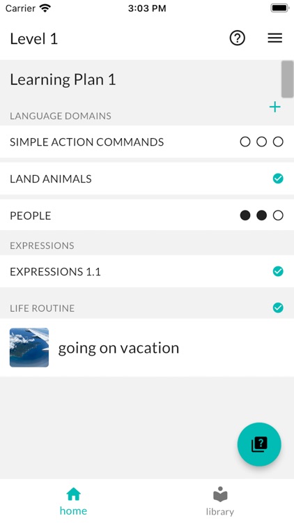 Immerse - Culture & Language