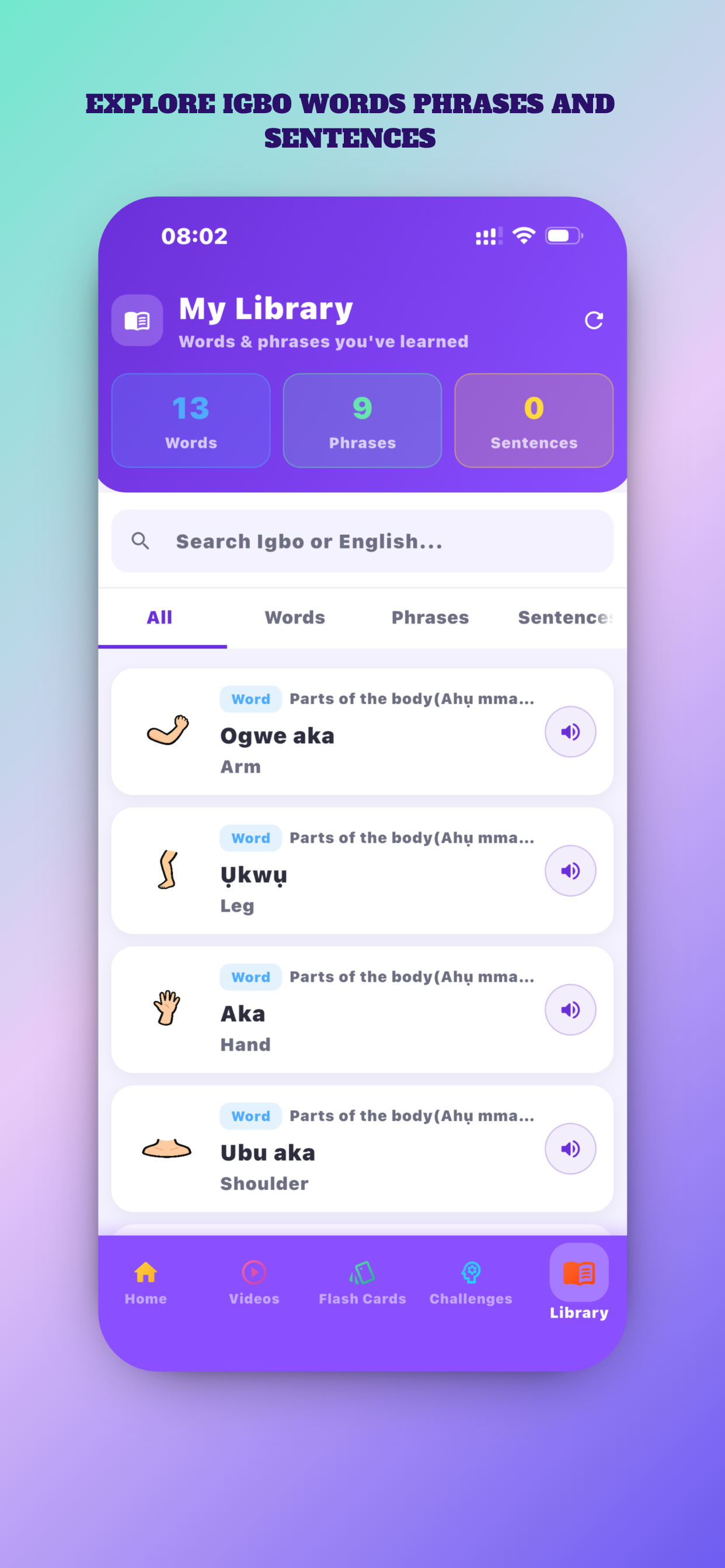Igbodiuto screenshot 8